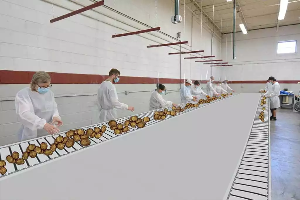 Social Distance Separation Curtain Panels