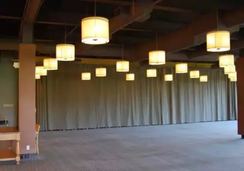 Ravinia Mirabelle Room Curtain